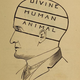 Illustration for article titled Learn the fake science of reading faces with these phrenology diagrams